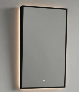 Зеркало для МГН