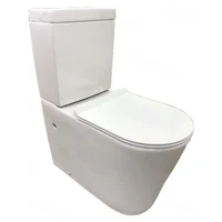 Унитаз для инвалидов