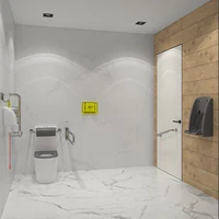 Унитаз для инвалидов с поручнями