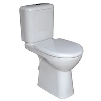 Унитаз для инвалидов